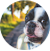 Luki-thumbnail.png